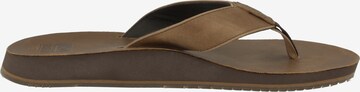 REEF Beach & Pool Shoes 'Drift' in Brown