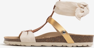 Bayton Sandale 'Fonelle' u svijetlobež / smeđa / zlatna, Pregled proizvoda