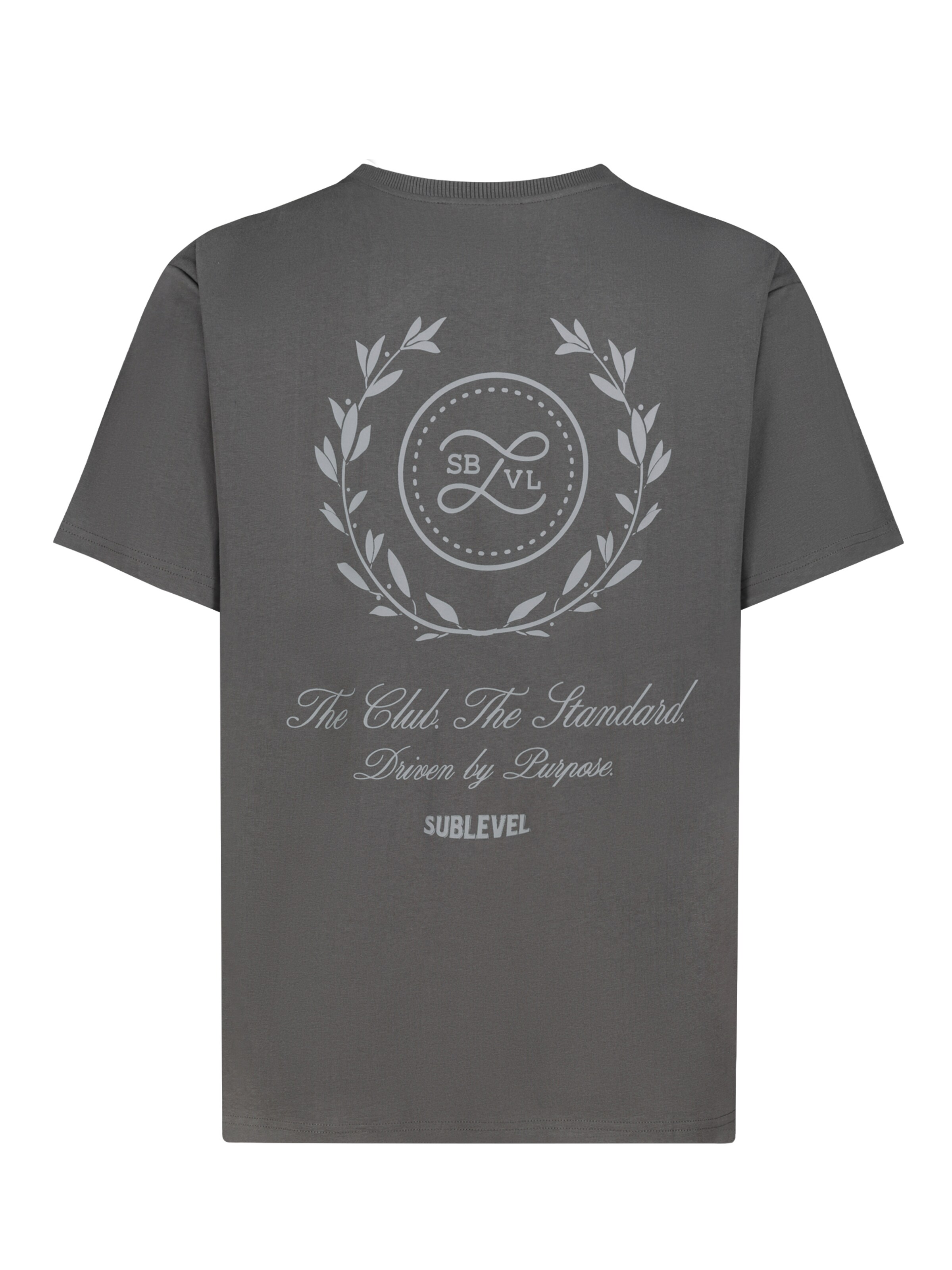 Sublevel Shirt in Grau
