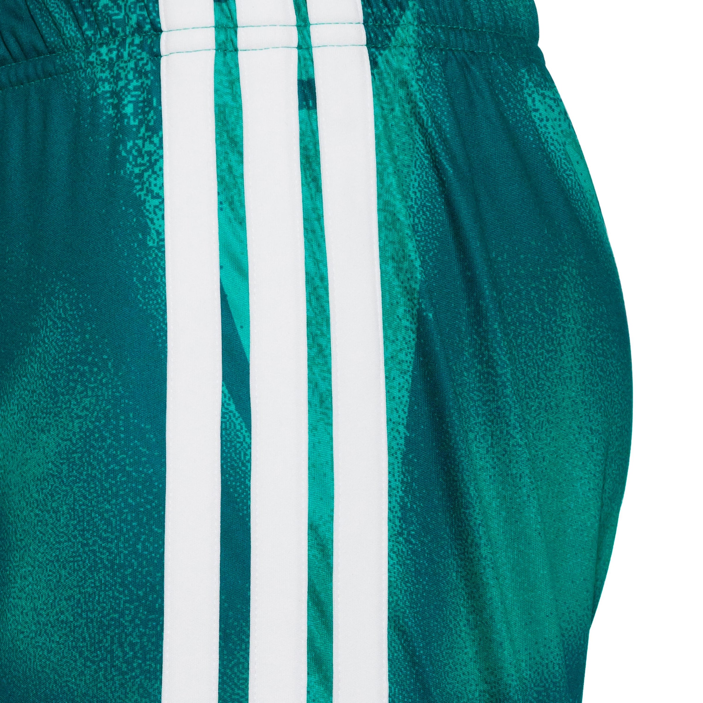žalia ADIDAS PERFORMANCE Standartinis Sportinės kelnės 'DFB Torwart Home'
