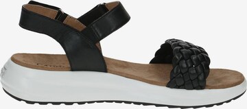 CAPRICE Sandals in Black