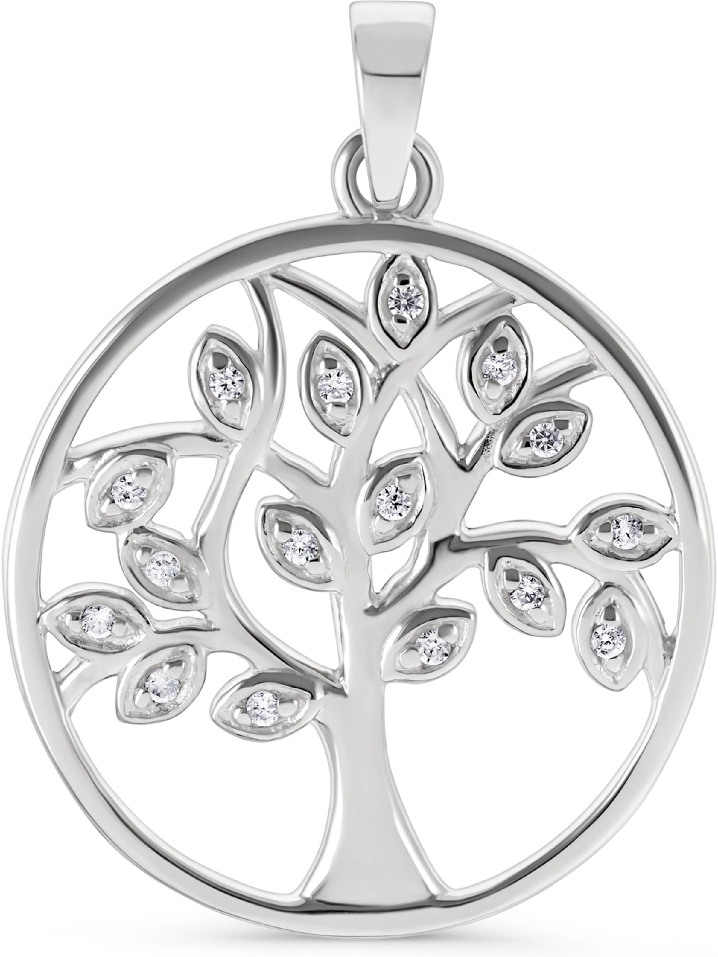 FAVS Anhänger in Silber: Vorderseite