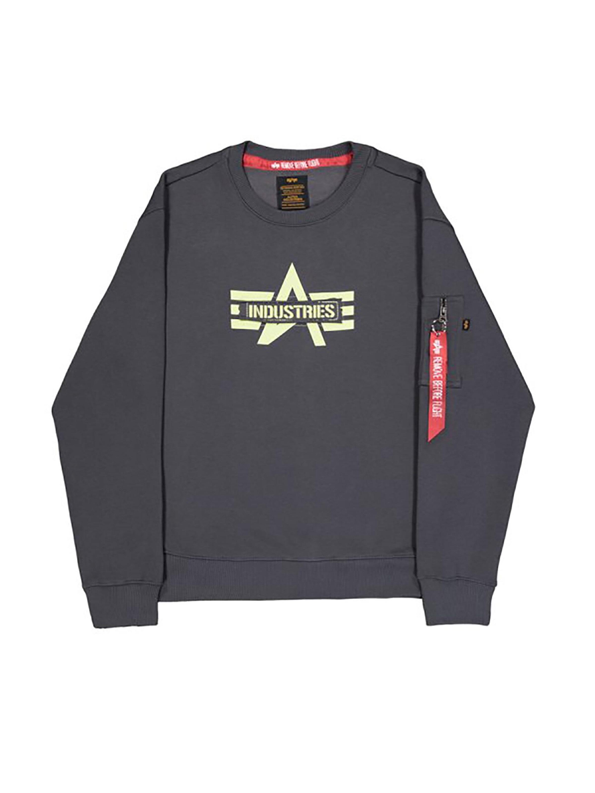 ALPHA INDUSTRIES Sweatshirt 'Edge' in Grey: front