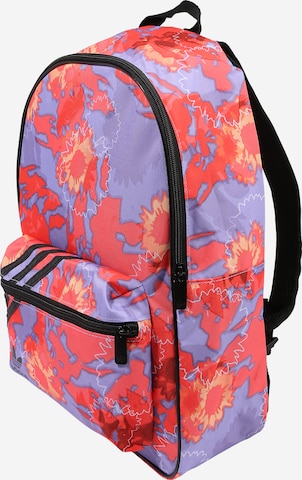 ADIDAS ORIGINALS Backpack in Mixed colors: front