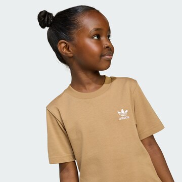Set ADIDAS ORIGINALS en marron