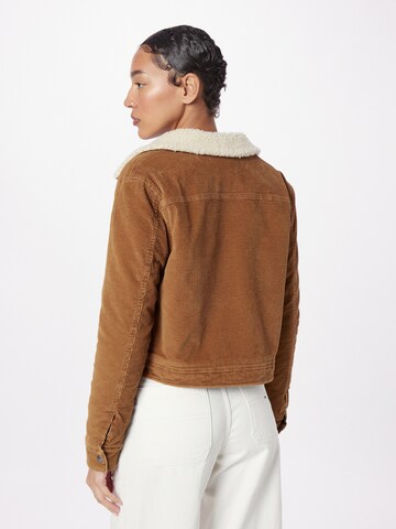 Superdry Between-Season Jacket in Brown