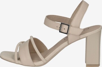 CAPRICE Strap Sandals in Beige