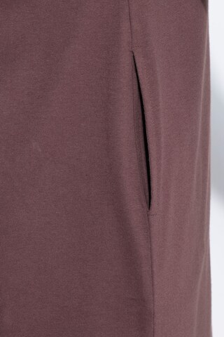 MIAMODA Dress in Brown