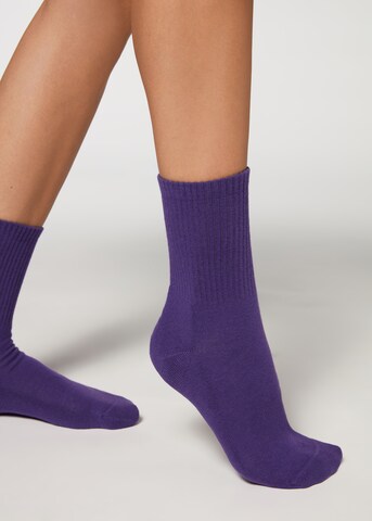 CALZEDONIA Socks in Purple: front