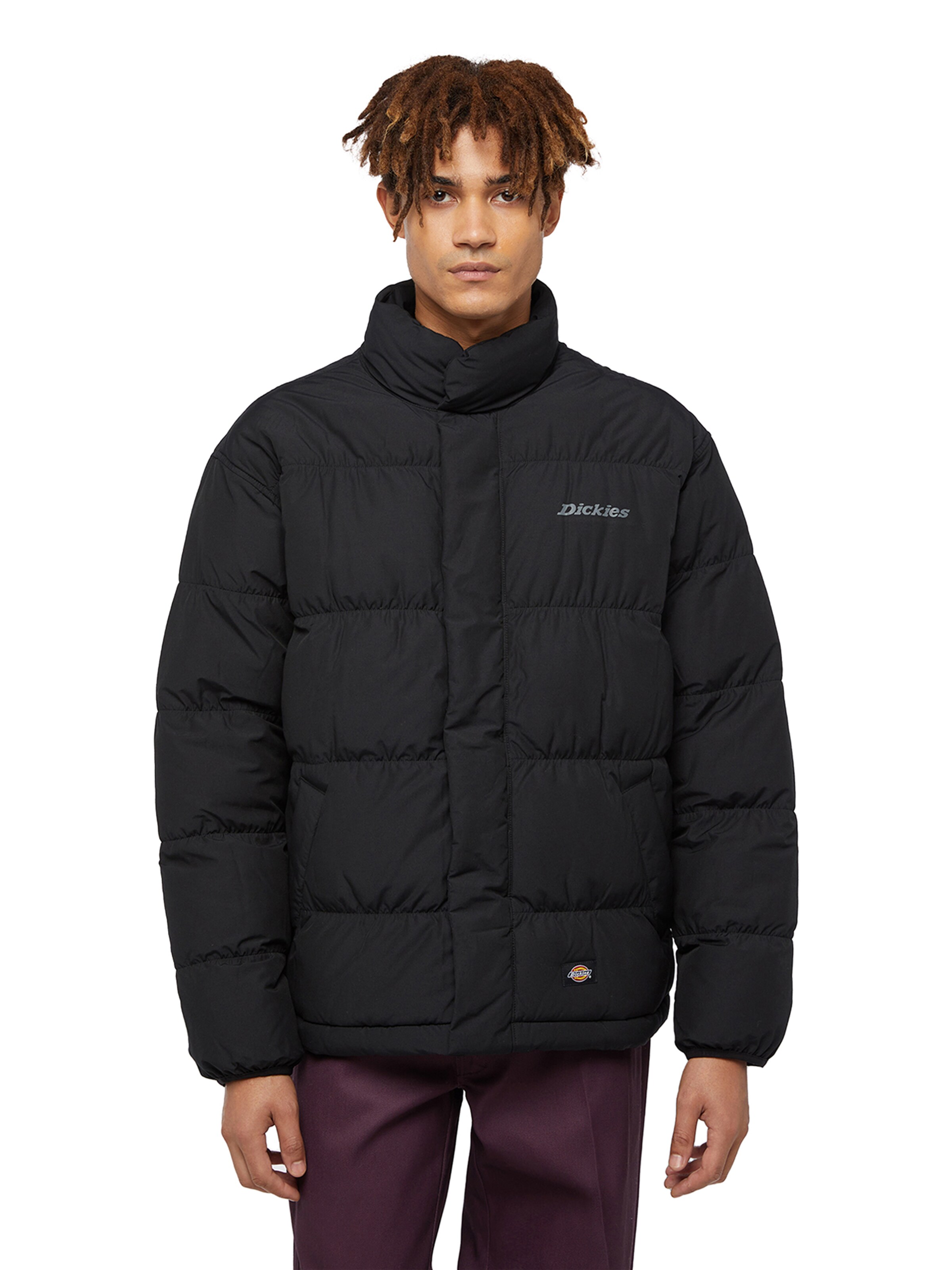 Geacă de iarnă de la DICKIES pe negru: față