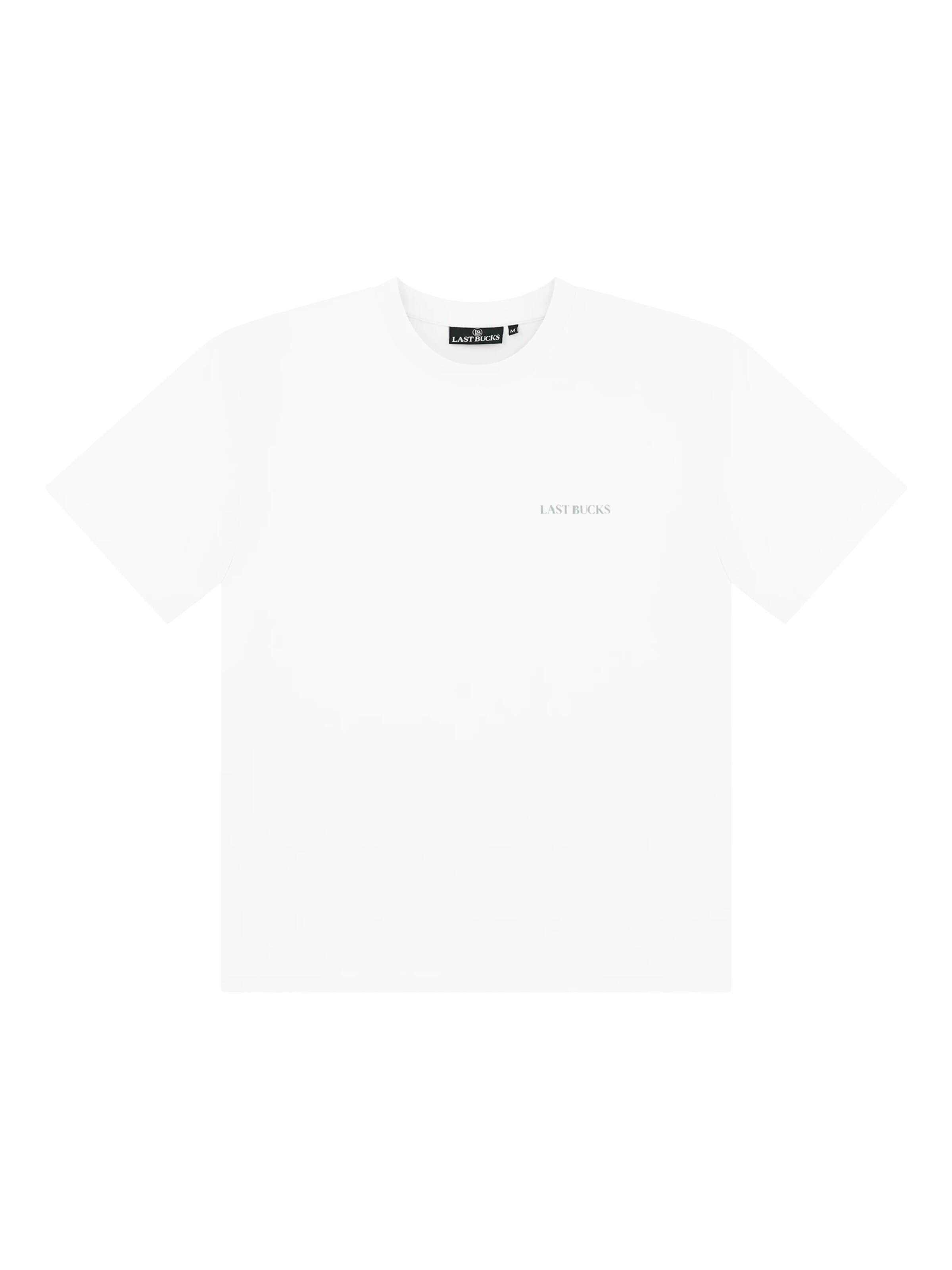 Last Bucks Shirt 'Last Bucks | Own The Sky Tee' in White: front