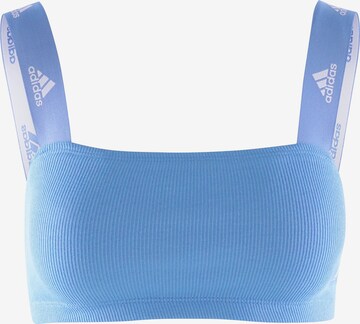 ADIDAS ORIGINALS BH ' Bandeau ' in Blauw: voorkant