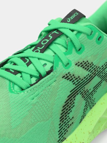 Chaussure de course 'Novablast 5' ASICS en vert