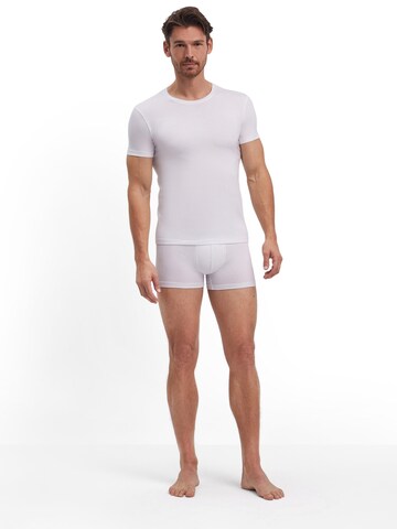 FALKE Undershirt '2-Pack' in White