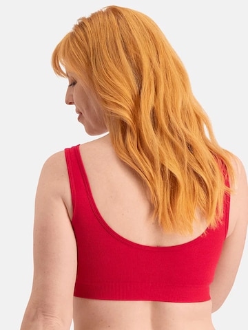 Bamboo basics Bustier BH 'Fleur' in Rood