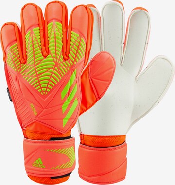 ADIDAS PERFORMANCE Sporthandschuhe 'Predator Edge' in Orange: predná strana