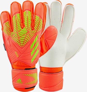 ADIDAS PERFORMANCE Athletic Gloves 'Predator Edge' in Orange: front