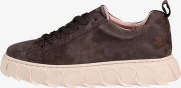 Apple of Eden Sneaker low 'LIZZO' in Braun