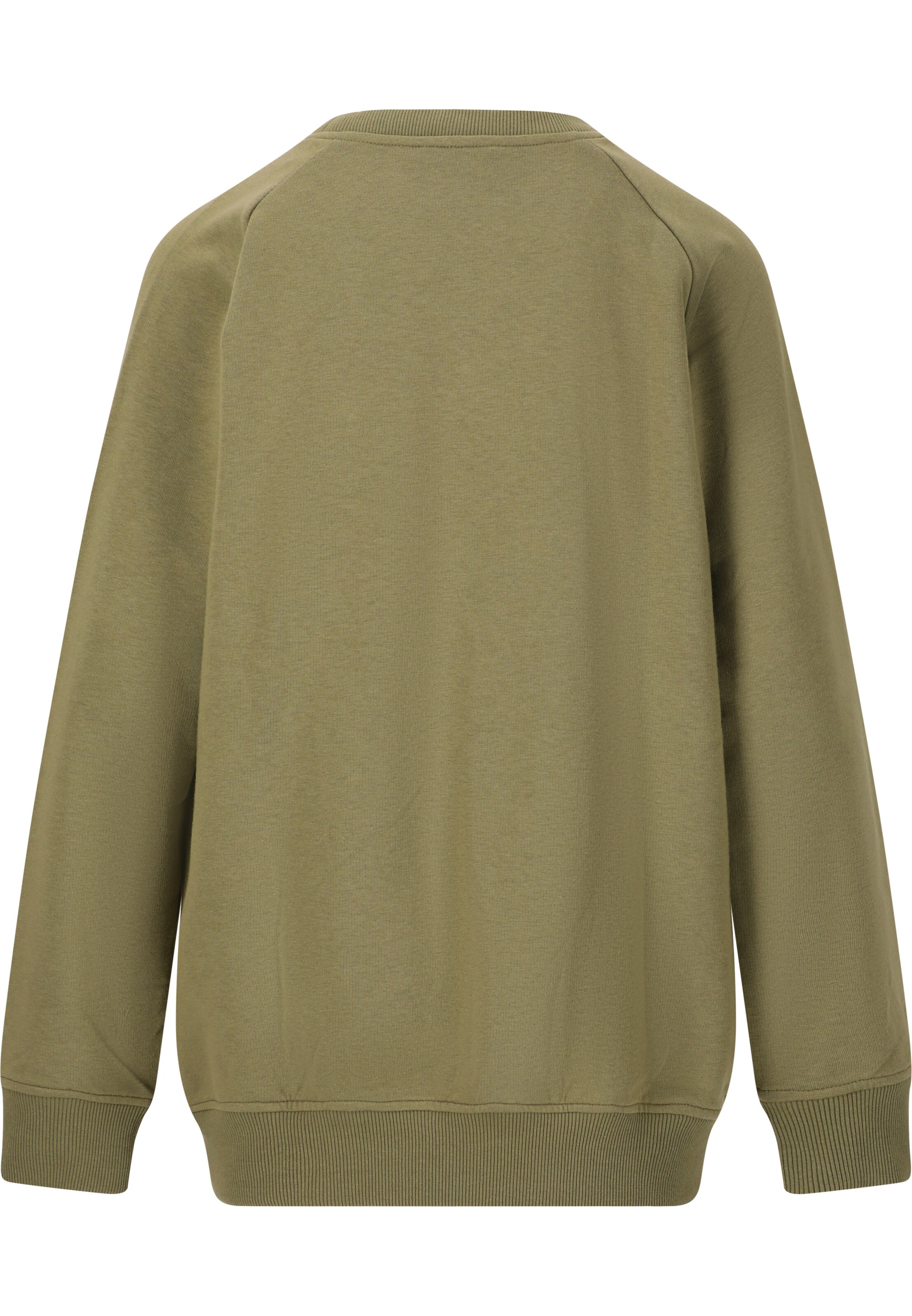 Cruz Sweatshirt 'Rusvil Jr.' in Green