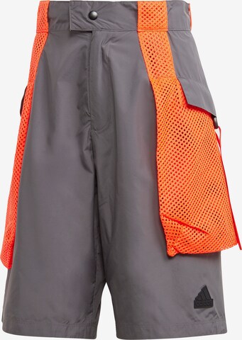 ADIDAS PERFORMANCE Regular Outdoor Pants 'City Escape' in Grey: front