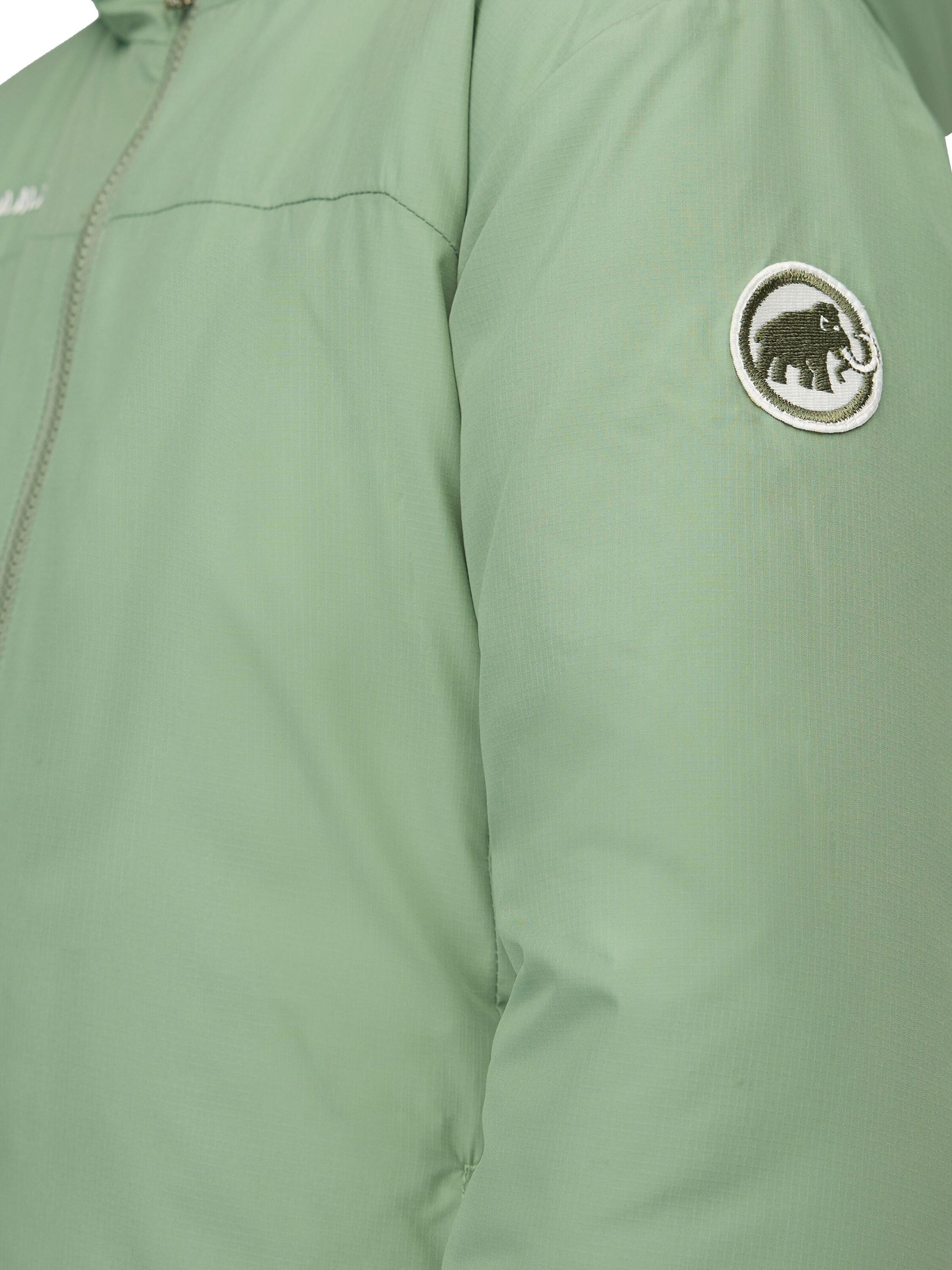 MAMMUT Outdoor jacket 'Rime IN' in Green