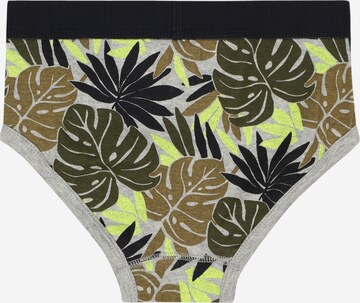 GAP Underpants 'PALM' in Mixed colors