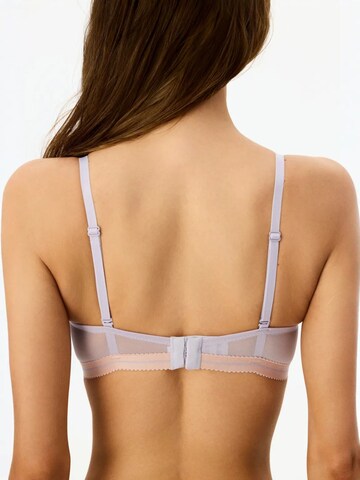 Penti - Bandeau Soutien 'BHs & Bralettes' em castanho