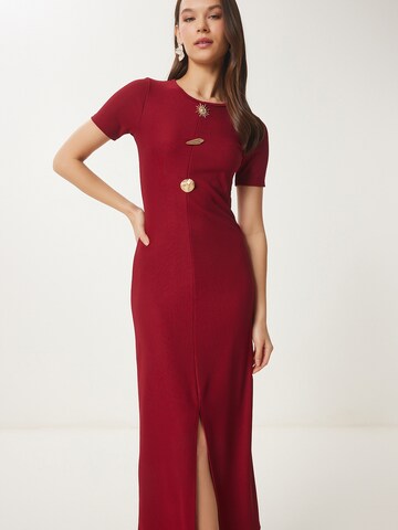 Happiness İstanbul Obleka | rdeča barva