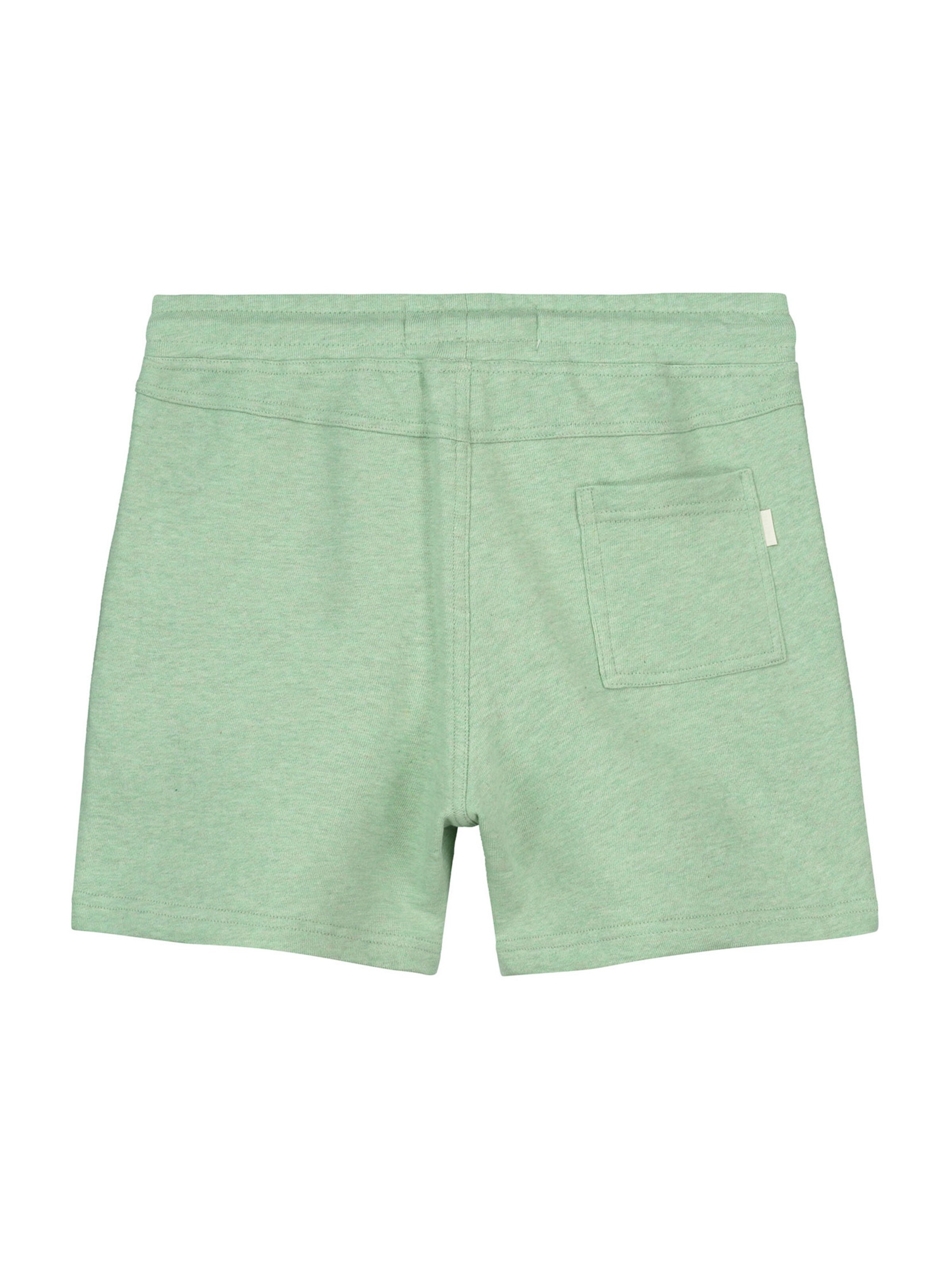 Shiwi Обычный Штаны в Зеленый