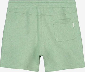 regular Pantaloni di Shiwi in verde