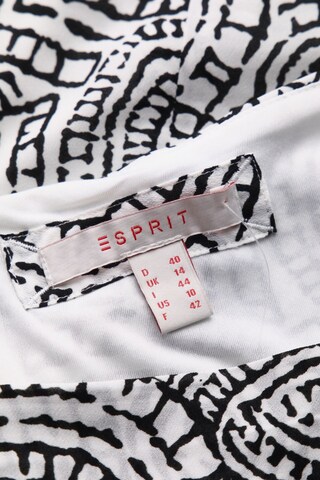 ESPRIT Skirt in L in Mixed colors