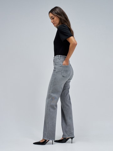 Salsa Jeans Skinny Jeans 'Faith' in Grijs