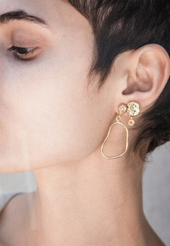 Haze&Glory Earrings in Gold: front