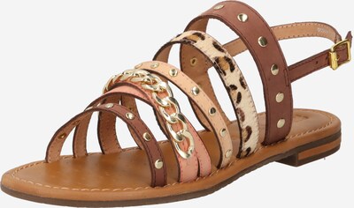 GEOX Sandalias con hebilla en beige / marrón, Vista del producto