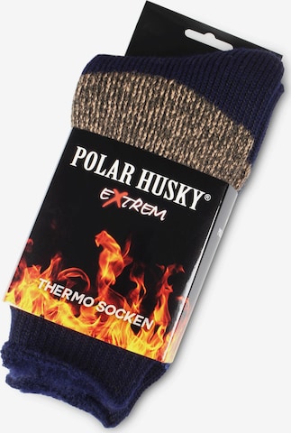 Chaussettes 'Extrem Hot' Polar Husky en mélange de couleurs