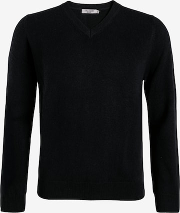 DELGER Pullover in Blau: Vorderseite