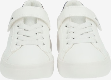 Sneaker di GEOX in bianco