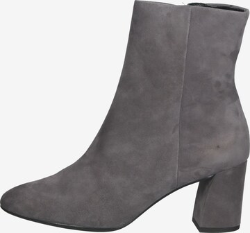 Högl Ankle Boots 'Emilie' in Grey