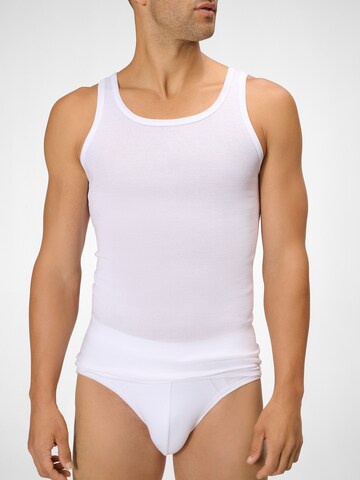 Maillot de corps '181 FR ' Ammann en blanc : devant