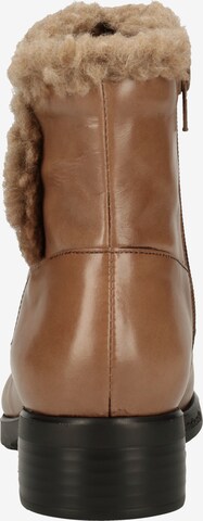 Boots Wonders en marron