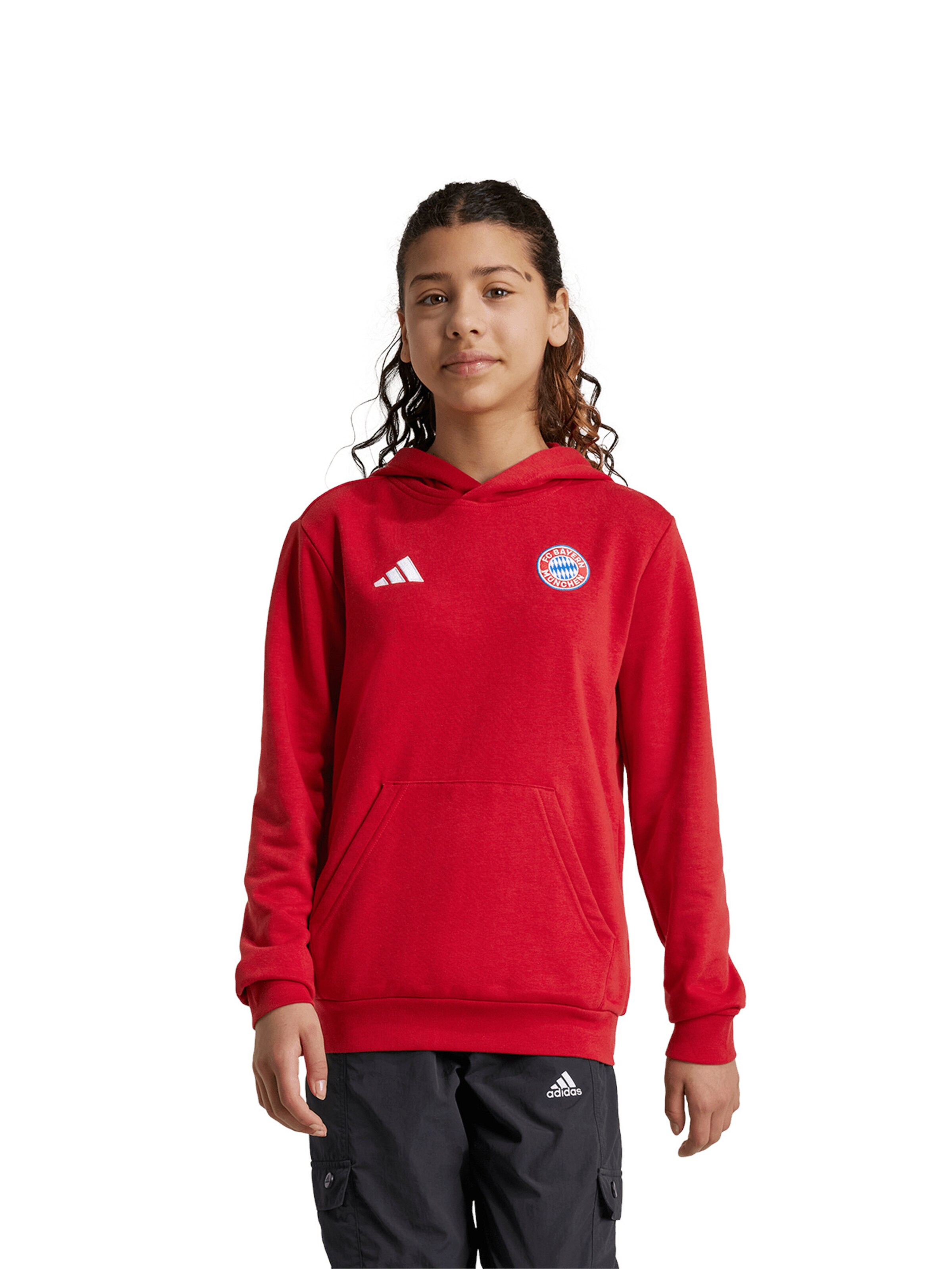 ADIDAS PERFORMANCE Αθλητική μπλούζα φούτερ 'DNA' σε κόκκινο: μπροστά