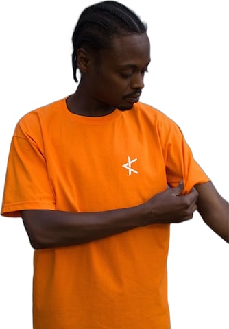 Maglietta 'T-shirt Totem' di Kanten in arancione: frontale