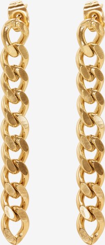 Heideman Earrings 'Belly' in Gold: front