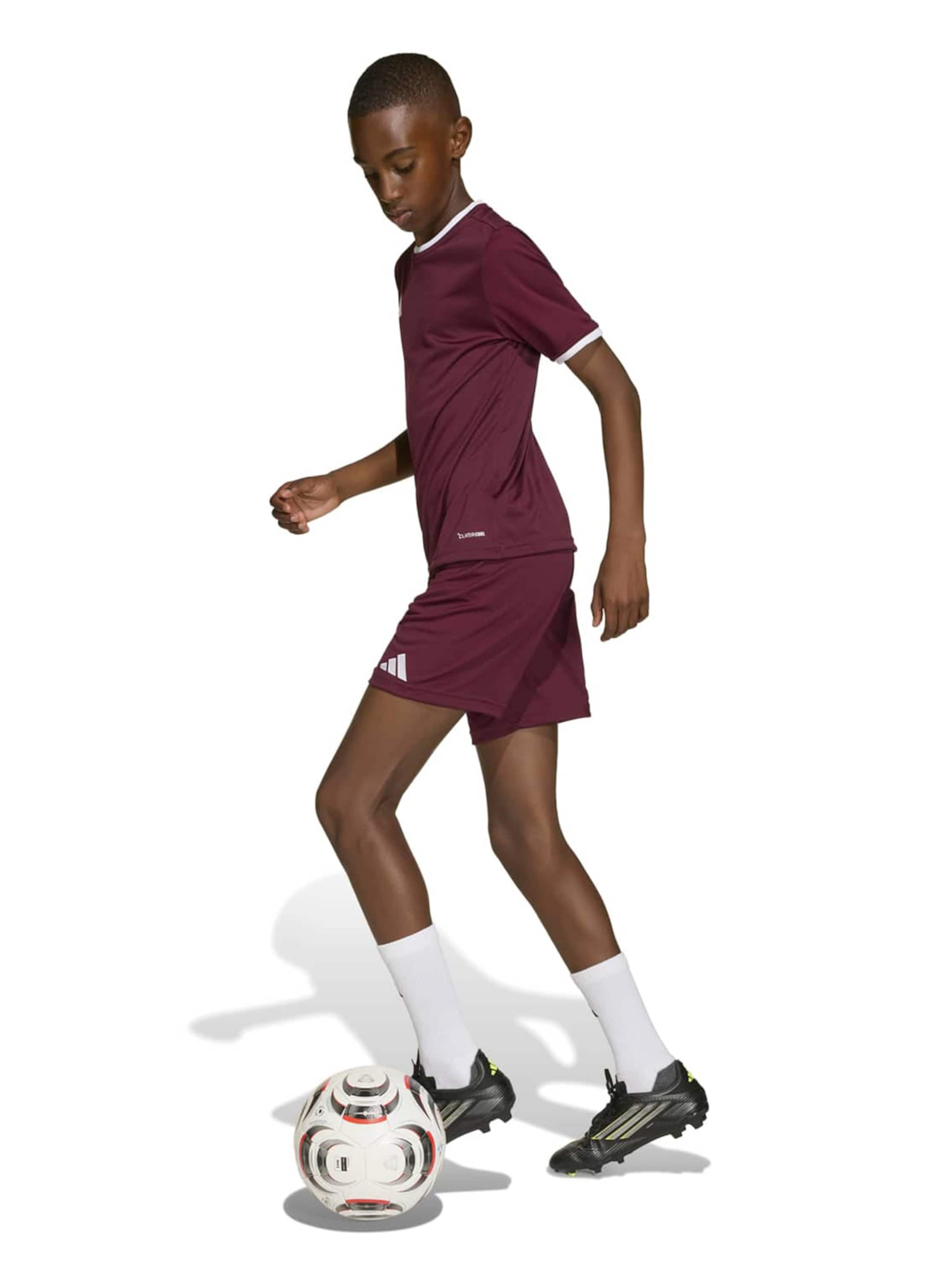 ADIDAS PERFORMANCE - regular Pantalón deportivo 'ENT26' en rojo