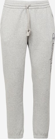 Champion Authentic Athletic Apparel Hose in Grau: predná strana