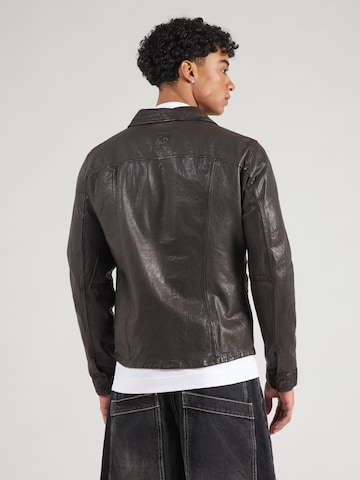 FREAKY NATION Overgangsjakke i brun