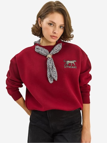 Bianco Lucci Sweatshirt in Red: front
