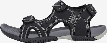 Cruz Sandals 'Penang' in Black