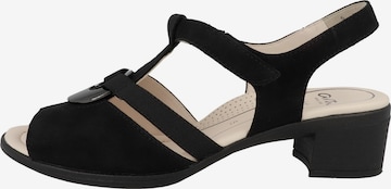 ARA Sandal in Black