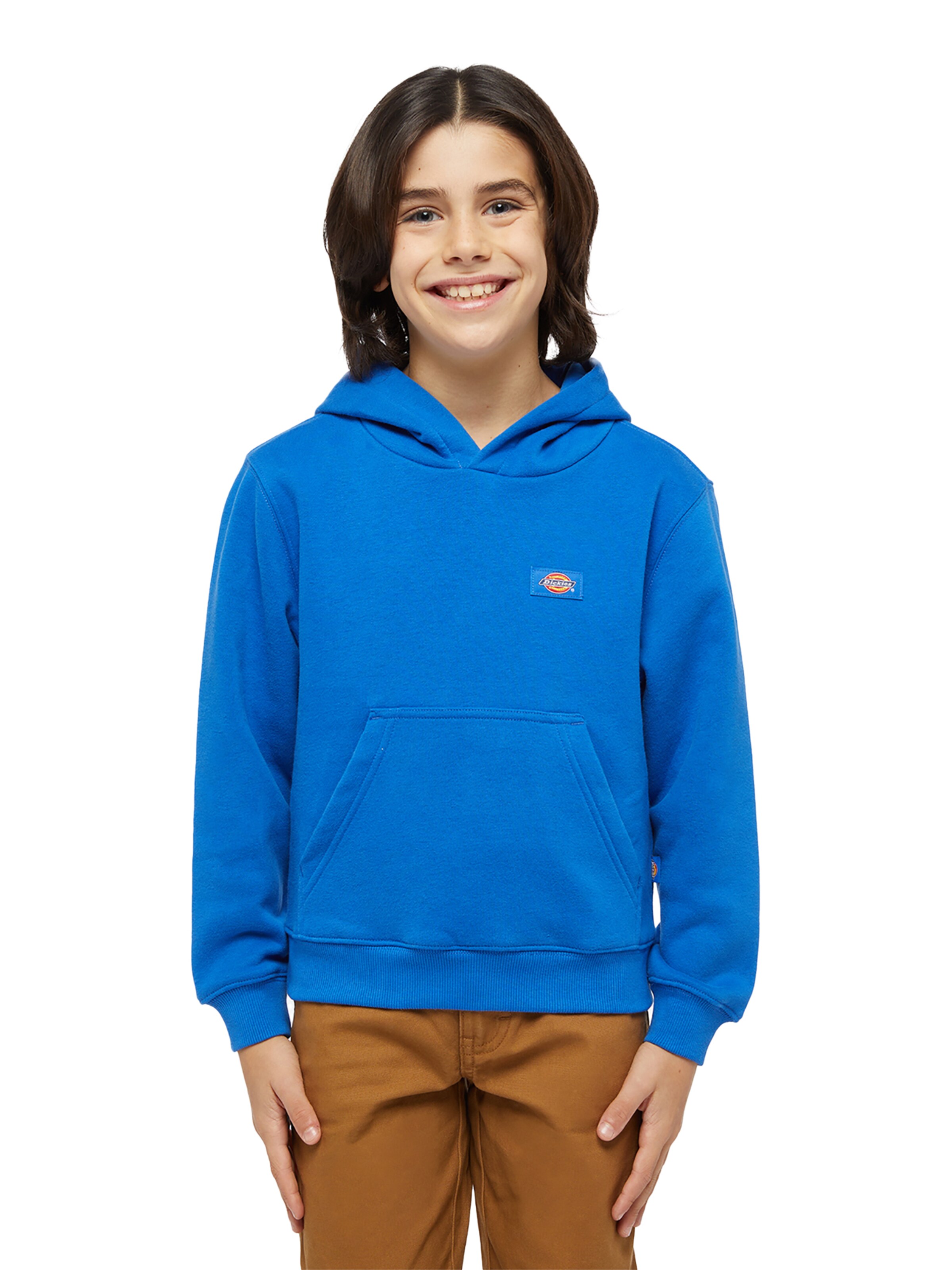 DICKIES - Sudadera en azul